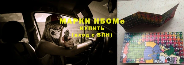 крисы Касимов