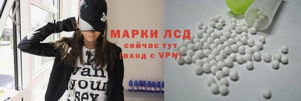 крисы Касимов