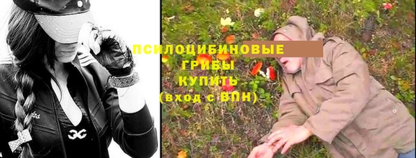 крисы Касимов